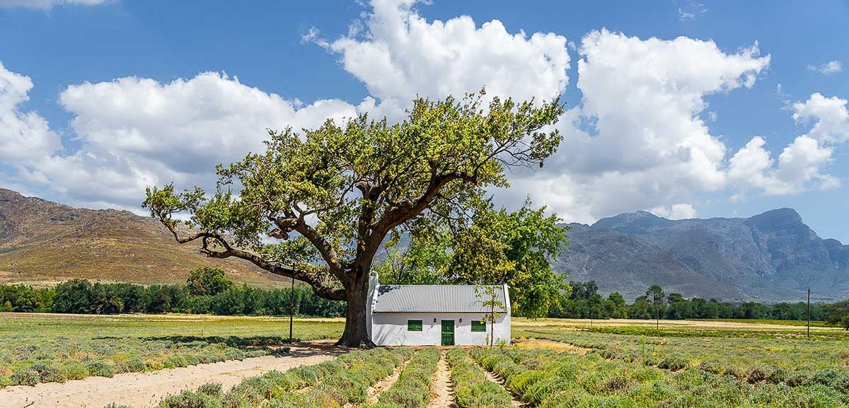 buono pasto negli agriturismi
