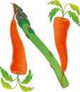 buoni pasto normativa-rid